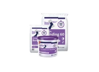 Artex Bonding 60 12.5kg Bag