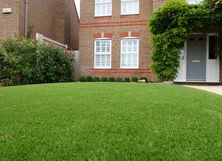 Artificial Grass Fashion 36mm (1x4m strip)