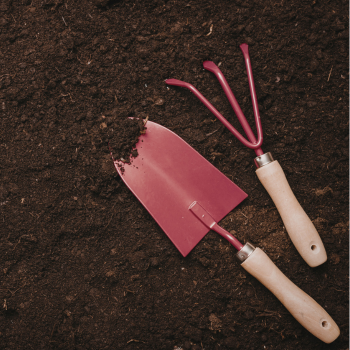 Essential Tools for Landscaping Projects