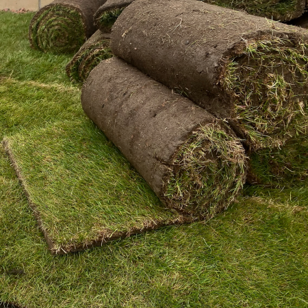 How to lay turf